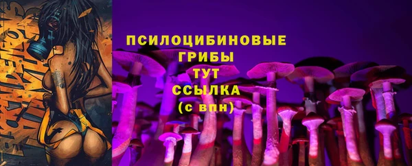 ECSTASY Семёнов