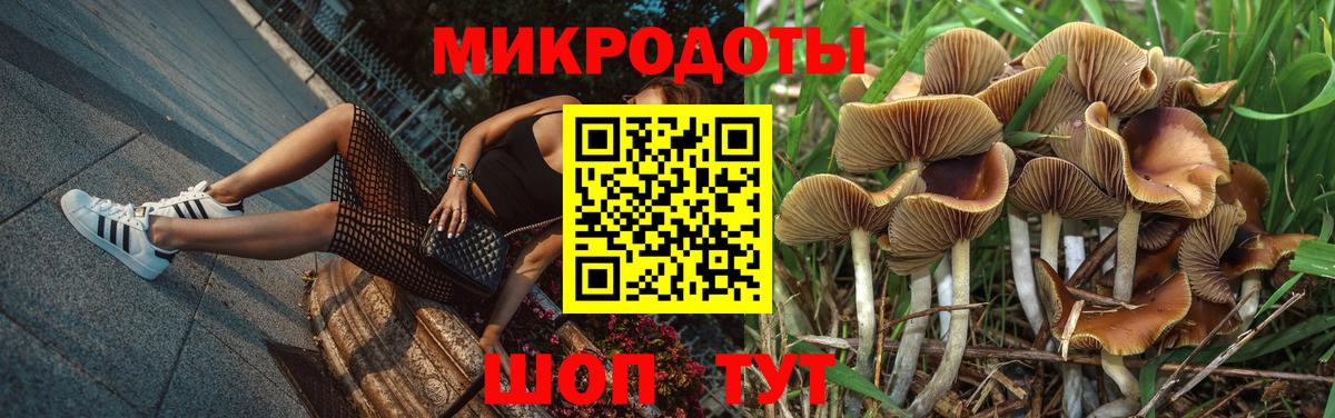 Галлюциногенные грибы ЛСД Калининград
