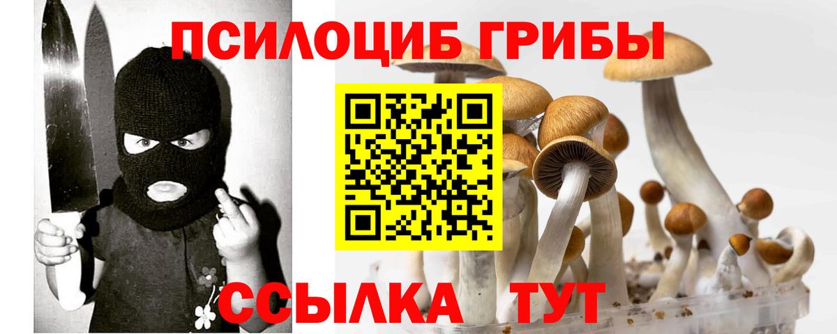 Галлюциногенные грибы Psilocybine cubensis  Псилоцибиновые грибы прущие грибы  Вход с VPN  Калининград 